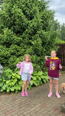 Two young girls are blowing bubbles in a yard. The girl on the left is wearing a pink jacket, a white shirt, and denim shorts. She is holding a blue bubble wand and blowing bubbles. The girl on the right is wearing a maroon sweatshirt and shorts. She is also holding a bubble wand and blowing bubbles. A large evergreen tree is behind them, and lush green plants are in front of the tree. The ground is paved with brick. The sky is cloudy.