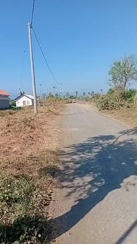 A dirt road stretches into the distance under a clear blue sky. On the left side of the road, a dry, overgrown field with scattered branches and a few small houses can be seen. A utility pole with wires runs along the side of the road. On the right, more dry vegetation and trees line the road. In the distance, a white vehicle is driving away from the camera. The sun casts long shadows across the road.