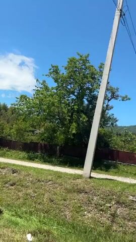 The video captures a bright, sunny daytime scene of a rural or semi-rural landscape. The sky is a clear, vibrant blue with a few small, white clouds.

The footage appears to be taken from a moving vehicle, showcasing the passing scenery alongside a dirt road. Lush green grass and various types of trees and bushes line the side of the road. In the initial frames, a rusty metal fence is partially obscured by the foliage.

As the camera continues to move, a tall, mature tree with light-colored bark and somewhat sparse, hanging foliage becomes visible. Further along, two distinctive tall, slender, dark green coniferous trees, resembling cypresses, stand prominently against the bright sky. Beyond these trees, a sunlit green field or clearing stretches into the distance.

The scene depicts a peaceful natural environment. No people or visible text are present in the video. The setting aligns with the provided context of Psyrdzkha, Abkhazia.