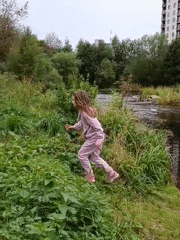 Afternoon by the river in Petrozavodsk — ducks, wildflowers, and an old log dam