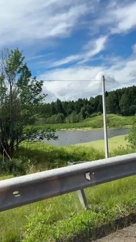 The video shows a view from inside a vehicle moving along a road. A metal guardrail is visible in the foreground, with green grass and vegetation on either side of the road. Beyond the guardrail, there is a lush green landscape with trees, a body of water covered in green algae, and a blue sky with white clouds. The scenery suggests a rural or natural environment. The camera is panning slightly to the right, indicating the vehicle is moving forward. No people are visible in the frame.
