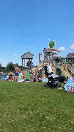 Dolphin shows and canal views in Harderwijk