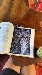 Person reads fairy book in tropical stilt house, General Luna