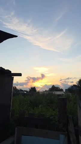 THE VIDEO SHOWS A SUNSET OVER A RURAL LANDSCAPE. THE SUN IS VISIBLE THROUGH CLOUDS, CASTING A WARM GLOW. THERE IS OVERGROWN VEGETATION IN THE FOREGROUND AND SOME STRUCTURES ARE VISIBLE IN THE BACKGROUND. THE SKY IS A MIXTURE OF BLUE AND ORANGE HUES.