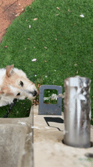 Tel Aviv residents share everyday moments: pets, birthday cake, lunch