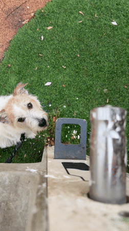 Tel Aviv residents share everyday moments: pets, birthday cake, lunch