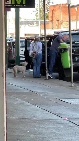 A light-colored dog stands on a sidewalk, facing a black vehicle. A woman wearing a white long-sleeved shirt, blue jeans, and a light-colored hat stands next to the open driver's side door of the vehicle, holding a leash. A man wearing a dark gray t-shirt and blue jeans stands on the other side of the vehicle, near the rear door, and is interacting with a bright green trash bin attached to the side of the vehicle. Another vehicle is parked behind the black vehicle. Buildings and power lines are visible in the background. The scene appears to be on a sunny day.