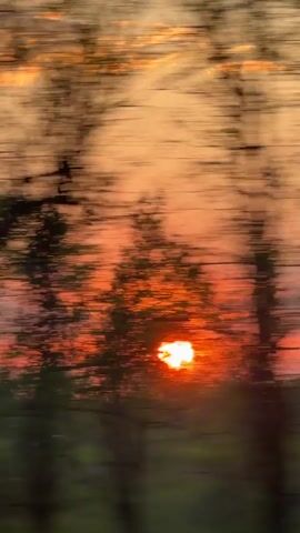 The video shows a blurry sunset behind trees, likely taken from a moving vehicle. The sky is a mix of orange, red, and yellow, with the sun visible through the branches. The foreground is dark and indistinct, with glimpses of green foliage.