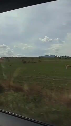 The video shows a view from a car window looking out at a grassy field under a cloudy sky. In the distance, there are some trees and a hill. There is also a single dark figure, possibly a horse, standing in the field. The car appears to be moving, as indicated by the slight blur of the foreground.