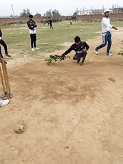 Late-night cricket preparation involves branch arrangement in Pakistan village