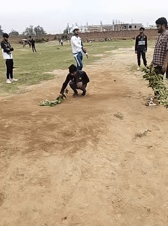 Late-night cricket preparation involves branch arrangement in Pakistan village