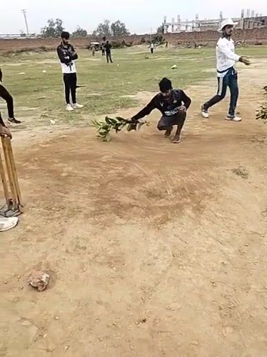 Late-night cricket preparation involves branch arrangement in Pakistan village