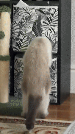 Pittsburgh, United States of America