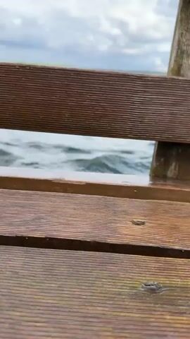 The video begins with a close-up shot through the slats of a wooden structure, likely a pier or deck railing, revealing a body of water with small waves. The camera then moves upward and outward to show a wider view of the water, extending to a distant shoreline with green vegetation under a partly cloudy sky. The camera angle rotates, presenting the horizon line diagonally across the frame.