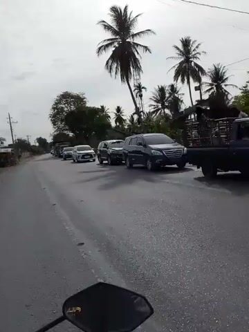 The video shows a view from a motorcycle traveling on a paved road. The road appears to be wet, possibly from recent rain, with some puddles visible. There is a line of vehicles ahead of the motorcycle, including several cars, SUVs, and trucks. Palm trees and other vegetation line the sides of the road, along with some buildings and a cell tower in the distance. The sky is overcast. The motorcycle is moving forward, and the camera is pointed slightly downwards at the handlebars and front of the motorcycle. The video is short, with only a few seconds of footage.