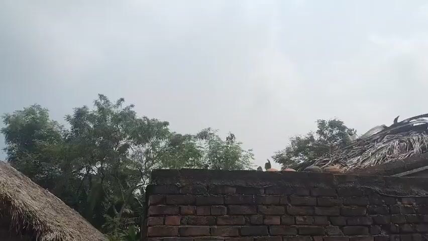 The video shows a rural scene with a brick wall in the foreground. Behind the wall, there is a damaged roof thatched with straw, and some trees in the background. The sky is overcast and appears to be cloudy. There are no people visible in the video, and no clear actions or interactions are depicted. The overall impression is one of a somewhat dilapidated environment under a gray sky.