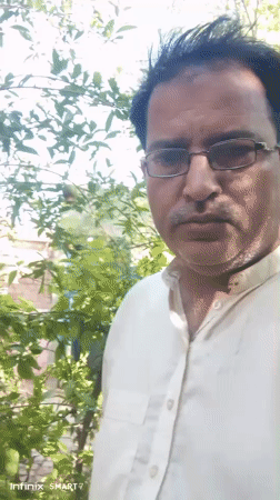 Early morning recordings capture man and pomegranate bush in Dandewal
