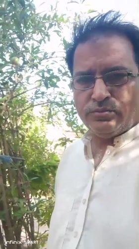 Early morning recordings capture man and pomegranate bush in Dandewal