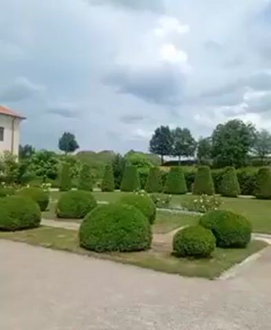 A video shows a person walking through a formal garden with manicured hedges and bushes. The garden features several cone-shaped topiaries and rounded bushes. In the background, there is a line of trees, a cloudy sky, and what appears to be a small sculpture of people. The path in the foreground is made of gravel.