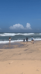 Early morning beach life documented across southern Sri Lankan coast