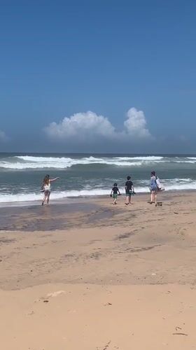 Early morning beach life documented across southern Sri Lankan coast