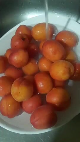 A close-up shot shows a white basin filled with apricots being rinsed under running water. The water stream is visible as it falls onto the fruit. The apricots are a vibrant orange-red color and appear to be fresh. The background shows a stainless steel sink and countertop.