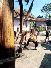 Traditional cultural performances draw crowds in Mojodoyong, Indonesia