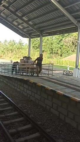 Two men are on a train platform, pushing a two-wheeled cart loaded with cardboard boxes. The man in the foreground is wearing a dark t-shirt and khaki pants, and he is pulling the cart by its handle. The man behind him is wearing a dark shirt and is pushing the cart. The platform is covered by a metal roof supported by columns. The train tracks are visible in the foreground. In the background, there are trees and a grassy hill. The scene appears to be in a tropical or subtropical climate, given the lush vegetation.