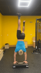Man performs handstand exercises during gym workout in Bulgaria