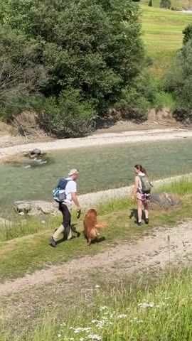 A video shows two people and a dog walking along a path next to a river. The person in front is wearing a white hat, a white t-shirt, khaki pants, and tall brown boots, with a blue and gray backpack. The person behind them is wearing a green backpack and a plaid skirt, and they are holding a leash attached to the dog, which appears to be a golden retriever. The path is dirt with grass on the sides, and the river is wide and shallow with clear, turquoise water. Lush green trees and a grassy hillside covered in trees are visible in the background, with a building on the hillside. The sky is blue with scattered white clouds.