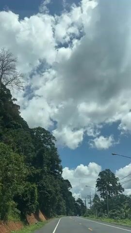 The video shows a view from a vehicle traveling on a road through a lush green forested area. The road is paved with a white line dividing the lanes. On the left side of the road, there is a steep incline covered in dense green foliage. On the right side, there are trees, utility poles, and streetlights. The sky is a bright blue with scattered white cumulus clouds. The sun appears to be shining brightly, casting some glare on the right side of the frame. A dark-colored vehicle is visible ahead on the road. The camera appears to be looking forward and slightly upwards.