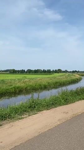 The video shows a group of people cycling along a paved path next to a canal. The path is bordered by green fields and trees. The sky is blue with some clouds. The cyclists are dressed in casual clothing, and some are wearing hats. The group appears to be enjoying a leisurely ride. Some cyclists are riding yellow bicycles, while others are riding bicycles of different colors. There are parked cars visible on the right side of the path in the later frames. The video is shot from a moving perspective, following the group of cyclists.