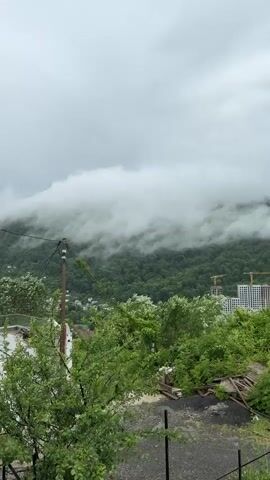A handheld vertical video captures a cloudy, overcast day with a landscape of lush green mountainside. Dense forest covers the majority of the mountain, with white clouds partially obscuring the upper portion. In the foreground, overgrown green foliage partially obscures a construction site with several white buildings and yellow construction cranes. A utility pole stands to the left of the frame, and a portion of a roof or overhang is visible at the top right corner. The scene appears to be on an incline, with debris and possibly old structures visible in the lower right foreground. The overall mood is somber and natural.