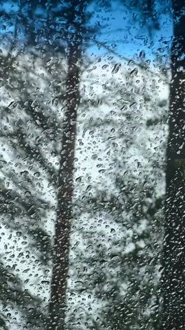 The video shows a close-up view of raindrops on a window. Through the raindrops, the blurred image of trees and a blue sky can be seen. The focus is on the water droplets distorting the view of the outdoor environment.