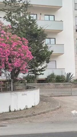 The video shows a street view with a building and several large trash receptacles. The building appears to be residential, with balconies and windows visible. There are trees, including a large tree with pink flowers, and some palm trees. The trash receptacles are of various colors, including blue, green, and yellow, and are located on the side of the road. The street is paved, and there is a sidewalk. The video is taken from a moving vehicle, as indicated by the panning motion and slight blur. There are no people clearly visible in the video, though a figure can be briefly seen in a window of the building. The weather appears to be overcast.