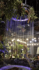Jungle-themed cafe with illuminated waterfall operates in Đà Nẵng