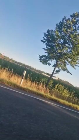 A video captures a view from a moving vehicle alongside a road. The camera is tilted downwards at an angle. On the left side of the road, there is a grassy area that transitions into a field of tall green plants, possibly corn. A tree with lush green leaves is prominently featured on the left side of the road, extending into the frame from the top. The sky is clear and blue. The road itself appears to be asphalt, with a white line marking the edge. The video shows a passing landscape, suggesting a journey or drive. There are no people or other vehicles visible in the frame. The time stamp indicates the video starts at 00:00 and ends at 00:05.
