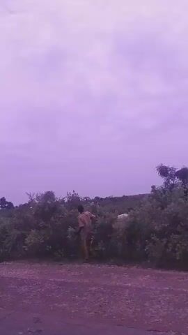 This video shows a landscape with a road in the foreground and dense vegetation in the background under a purple sky. The camera appears to be moving, possibly from a vehicle, as the landscape shifts and trees come into and out of view. The vegetation is mostly green and appears to be shrubbery or low-lying bushes, with a few scattered trees visible on the horizon. The sky is a uniform purple, suggesting either a filter has been applied or it is twilight. There are no people or distinct objects visible in the scene.