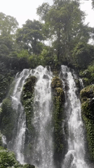 Waterfall flows through lush vegetation in Sukasada, Indonesia