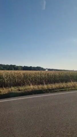 The video shows a highway scene from the perspective of a moving vehicle. On the left side of the frame, a large, blank blue billboard stands prominently, supported by metal poles. The billboard is facing away from the viewer, indicating it is oriented towards oncoming traffic. Beyond the billboard and the grassy roadside, a vast field of corn stretches across the horizon under a clear blue sky. The corn stalks appear dry and golden, suggesting late summer or early autumn. The road itself is paved and shows a white line marking the lane. The perspective suggests the vehicle is traveling parallel to the cornfield and the billboard. The scene is bright and appears to be captured during daylight hours.