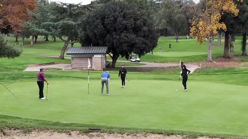 The video shows four people on a golf green, surrounded by trees and other foliage, with a small brick building and a golf cart in the background. The person closest to the hole has just finished putting and is picking up the ball. The other three people are standing and watching. Two of the golfers are women and two are men. All four people are holding golf clubs.