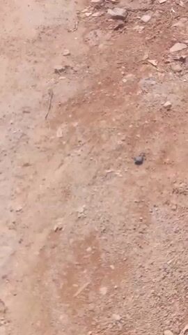 The camera focuses on a dirt shoulder next to an asphalt road. A red sandal is visible on the dirt shoulder. The camera moves slowly down the road.