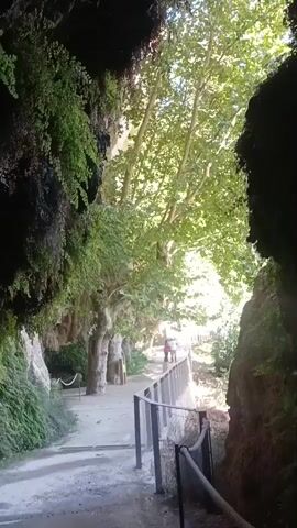 The video shows a pathway in a natural setting. On the left side, a rocky cliff is covered with lush green vegetation. The pathway is paved and has a metal railing along the right side. Beyond the railing, there are trees with green leaves, and the sunlight filters through them. In the distance, two people are walking along the pathway, appearing to be heading towards the right. The overall environment suggests a park or a natural reserve.