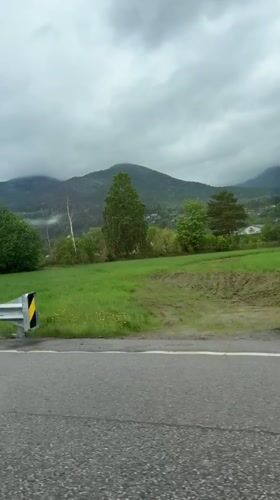 Spring blooms captured at Norwegian roadside rest stop