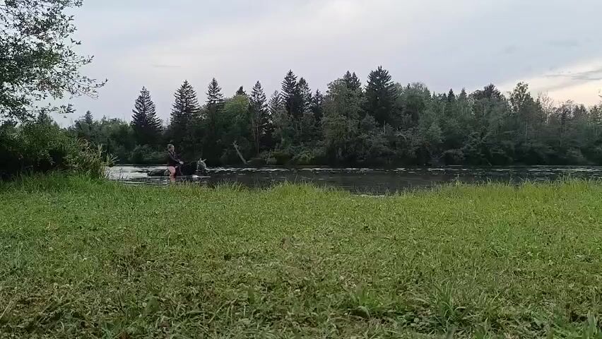 The video shows two people on horseback riding through a shallow body of water. They are surrounded by lush green grass in the foreground and a dense forest in the background. The sky is overcast, suggesting a cloudy day. The horses appear to be dark in color. The riders are wearing dark clothing. The water is calm, with ripples visible around the horses' legs. The scene evokes a sense of peacefulness and connection with nature.