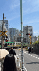 Early morning train crossing activity documented in Shibuya