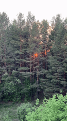 Domestic life documented in Chaikovsky amid sunset forest scenes