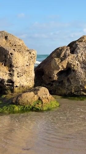 Dawn beach activities observed in Bat Yam waters