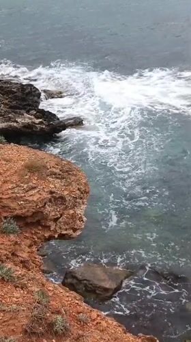 Woman documents seaside visit to Sevastopol cliffs