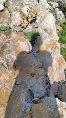 The video begins with a close-up of a rocky, mountainous terrain. The rocks are light brown and grey with patches of orange lichen. Some small green plants are growing in crevices between the rocks. The shadow of a person holding a camera or phone is visible on the rocks. The camera then pans up and away, revealing a wider view of the rocky mountainside. Dense green pine trees cover the slopes below and extend to the horizon. The sky is blue with scattered white clouds. The camera continues to pan, showing more of the mountain landscape with several rocky peaks in the distance. The sun is bright, casting shadows and highlighting the textures of the rocks and trees.